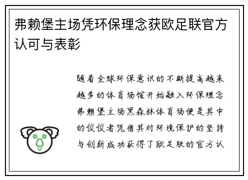 弗赖堡主场凭环保理念获欧足联官方认可与表彰